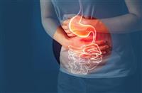 Vi Khuẩn HP Có Tự Hết Không? Thời Gian Điều Trị Mất Bao Lâu