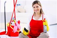 Cần tìm người giúp việc gấp TP HCM 