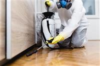 Công ty diệt mối tại hà nội