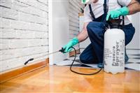 Giá diệt mối tận gốc tại Hà Nội