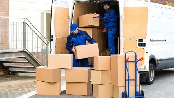 chuyen do sinh vien gia re