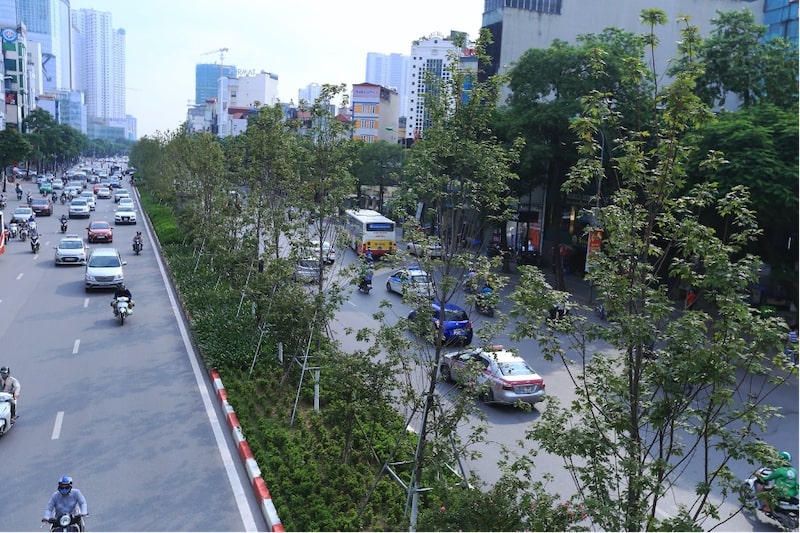 Đường Trần Duy Hưng