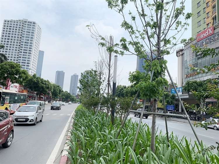 Đường Trần Duy Hưng